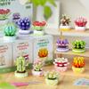 Non-Toxic Carden Toys Potted Succulent Cactus Mini Building Blocks Children Toys Flowers Blocks Thanksgiving Gifts