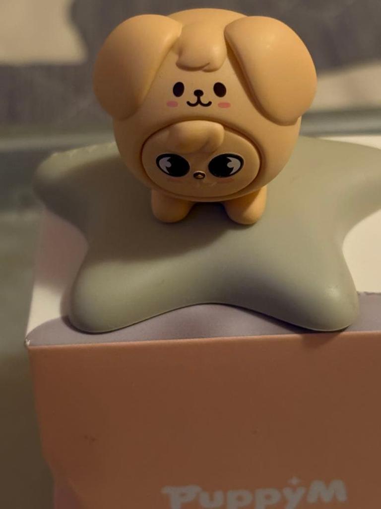 [USED] straykids skzoo figure puppyM