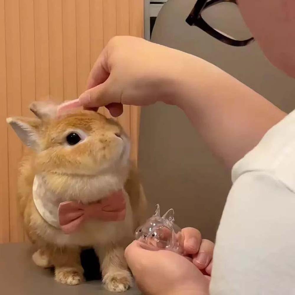 Handmade Rabbit Hair Storage Box Dog Hair Storage Container  Pet Souvenirs