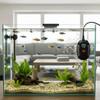 Automatische Temperatur Tauchheizung LED Digitalanzeige Aquarium Heizstab Mini Aquarium