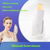 Electric Ultrasonic Skin Scraper Beauty Instrument Cleans Pores and Removes Blackheads, Hydrating Spray Cleanser, Skin Rejuvenation