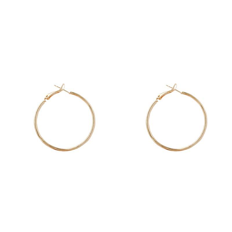 S925 Silver Needle Exaggerated Simple Hoop Earrings: Luxurious, High-End European & American Style for Women