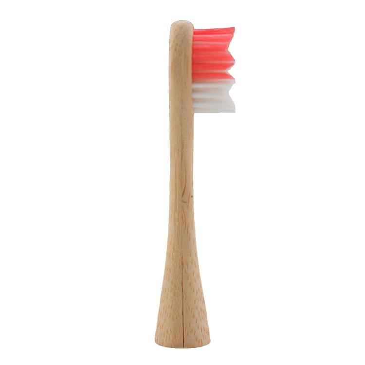 Manufacturer Supply New Bamboo Electric Toothbrush Wire Charging OEM Service First Biodegradable Electric Toothbrush