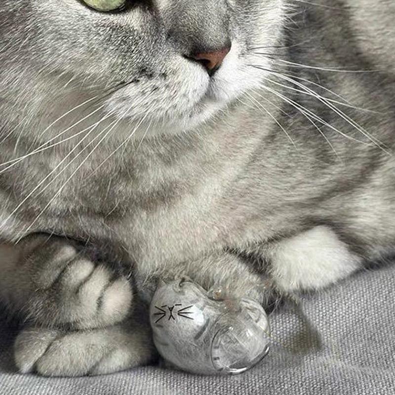 1/3/6 Buc. Capsulă Transparentă pentru Păstrarea Suvenirurilor Animalului de Companie, Puf Drăguț de Animal de Companie pentru Pisică, Breloc, Pandantiv, Cutie Suvenir, Sticlă Comemorativă