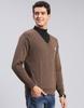 MONTE CARLO Mens Solid Brown V Neck Full Sleeve Pullover