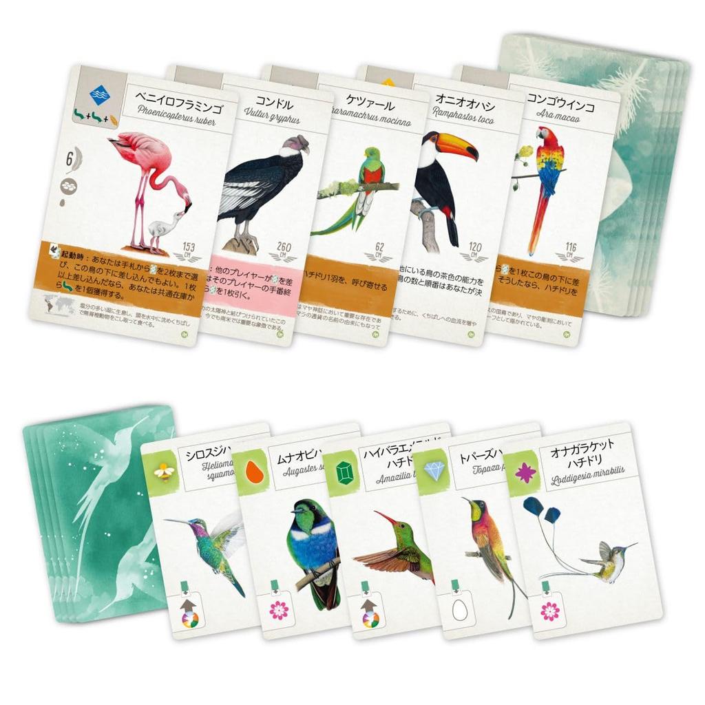 Arclight Wingspan Wings of Central and South America ages Board Game Expansion Set Expansion (1-5 players, 40-70 minutes, 10+)