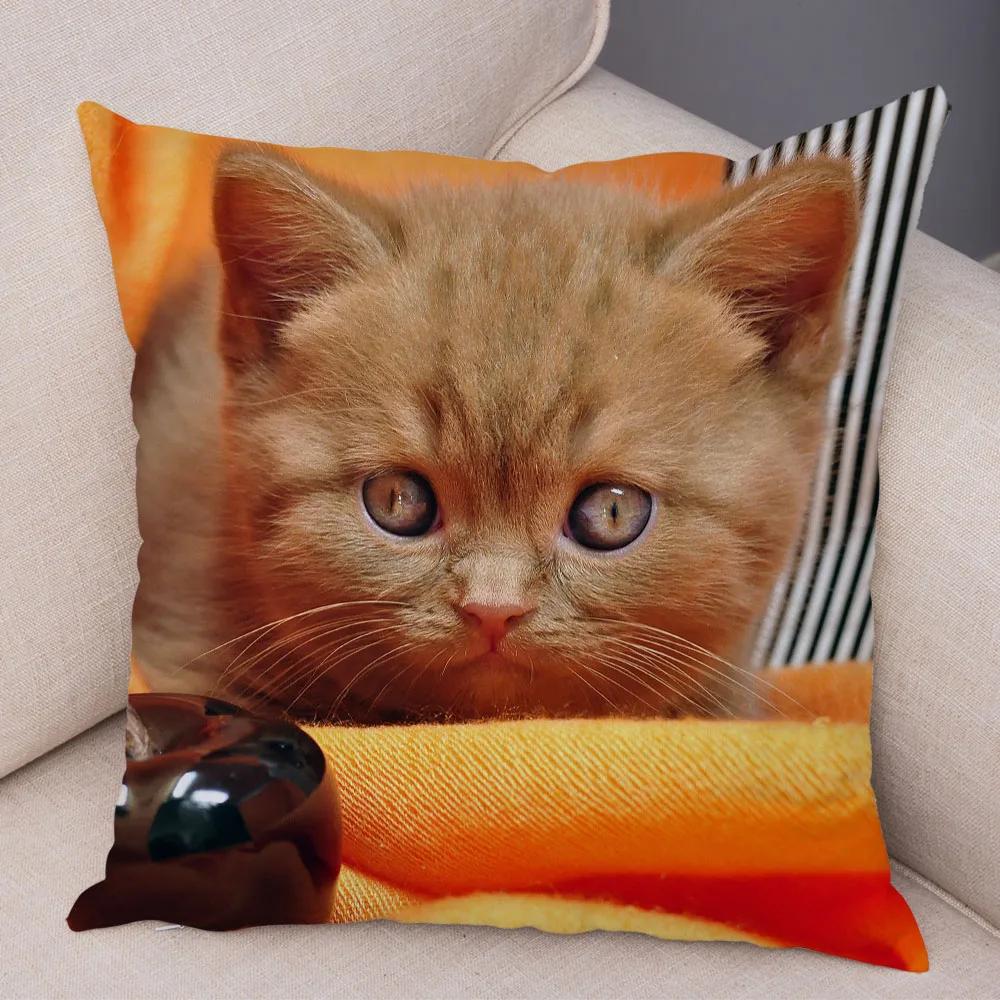 Russian Blue British Shorthair Cushion Cover Decor Cute Cat Pet Animal Pillowcase Soft Plush Pillow Case for Car Sofa Home
