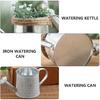 Artibetter 2pcs Tin Watering Can Vases for Centerpieces Mini Flower Pots Mini Metal Buckets Retro Flower Pot Bucket Plants Watering Pot Watering Can