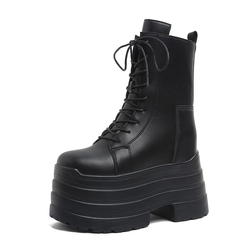 

2025 Новые ботинки на высоком каблуке 10 см для женщин Модные черные на шнуровке в панк-стиле Осенняя обувь для косплея Готические ботинки на платформе Bottes Femme 35 чёрный