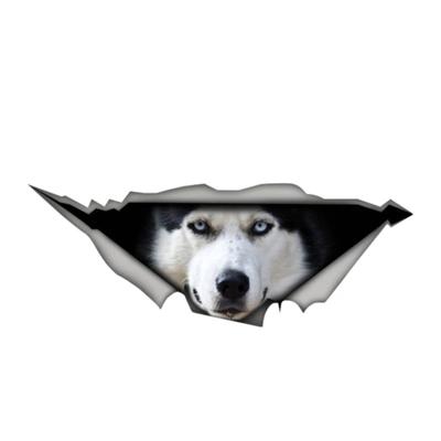 Calcomanía de personalidad perro Husky Animal pegatina de coche accesorios decorativos