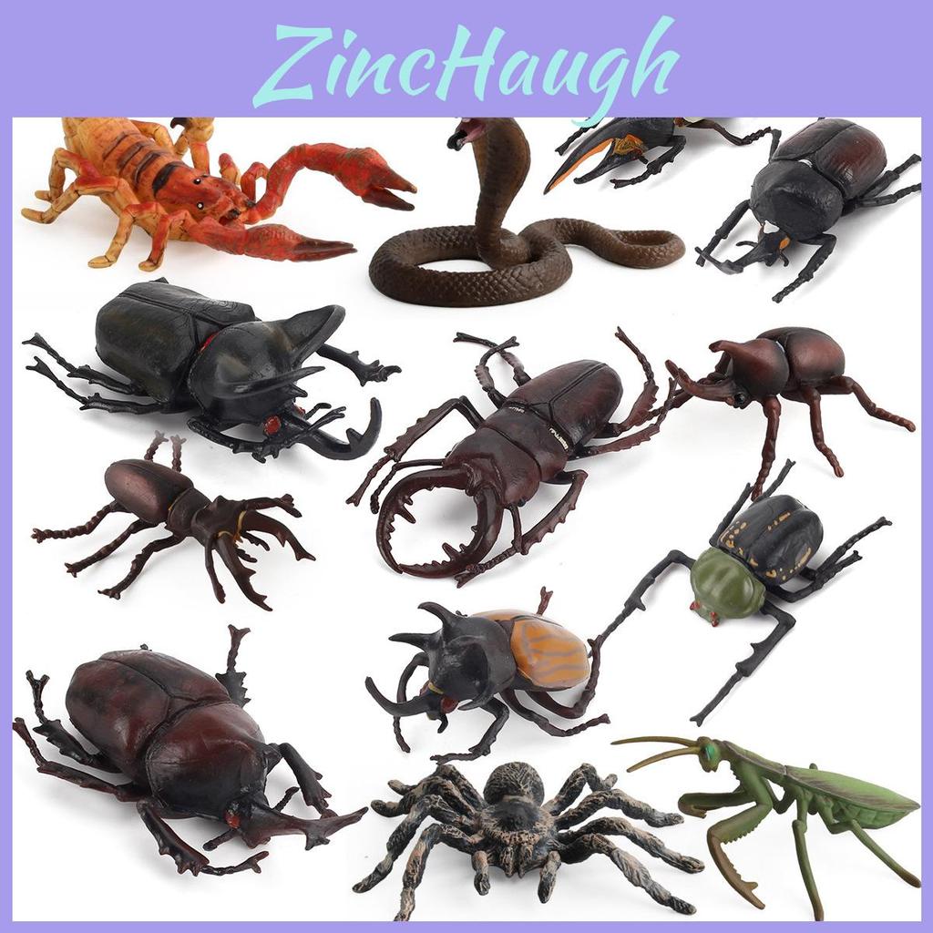 Allomyrina Dichotoma Scene Diorama Pvc Replicas With Educational Use For Home And Classroom Decor