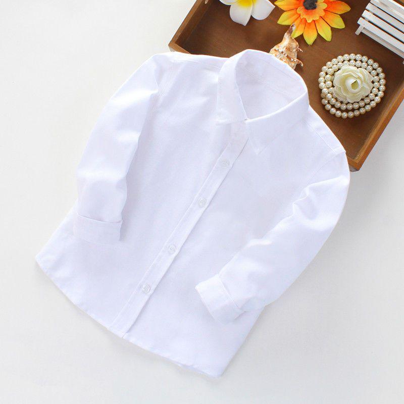 Boys' Blue Knight Long Sleeve Shirt for School Uniform or Performance, White, Spring/Autumn