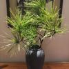 Vaso Moderno Minimalista in Ceramica Nera per Fiori Freschi e Bambù della Fortuna