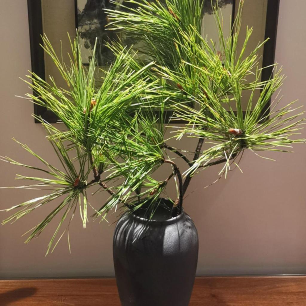 Vaso Moderno Minimalista in Ceramica Nera per Fiori Freschi e Bambù della Fortuna