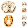 Cute Plush Cat Toy Wholesale Feline Dolls Ideal Birthday Gift