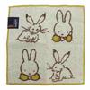 Marimo Craft Miffy X Choju Giga Mini Waiwai Gaya W250xH250mm Towel, Gaya, Approx. DBC-228