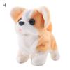 Electric Plush Simulation Teddy Corgi Dog Rabbit Tail Wagging Ass Shaking Toy