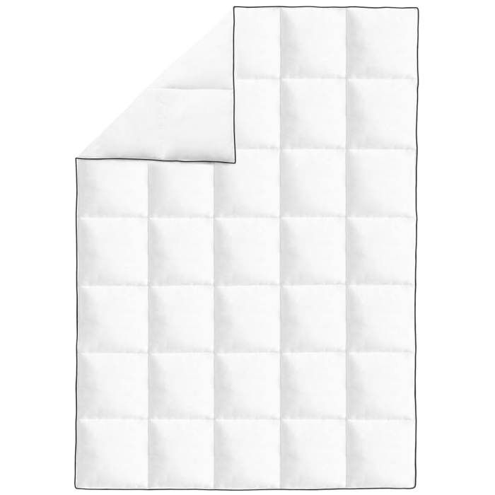 VidaXL Couette en duvet d'hiver 155 x 220 cm 132882
