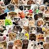 Cute Funny Cat Meme Cartoon Stickers Waterproof DIY Decoration Laptops Water Bottles Phones Cute Animal Decals Toys Gifts