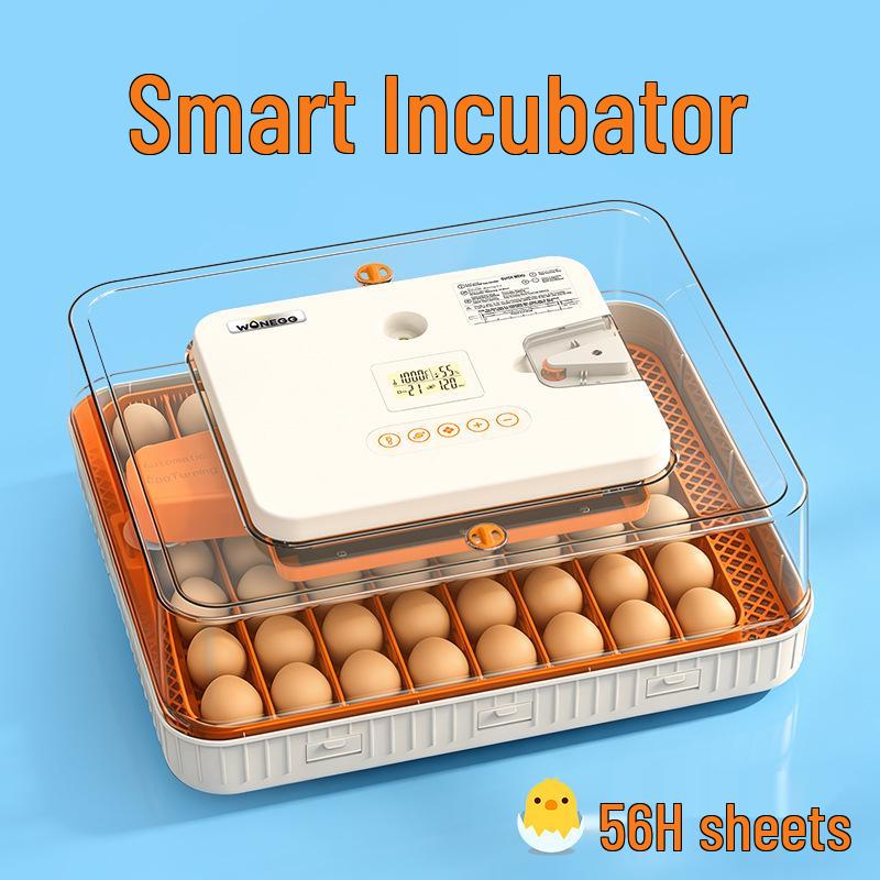Smart Mini Egg Incubator for Parrots and Budgies: Automatic Pet Hatchery Equipment