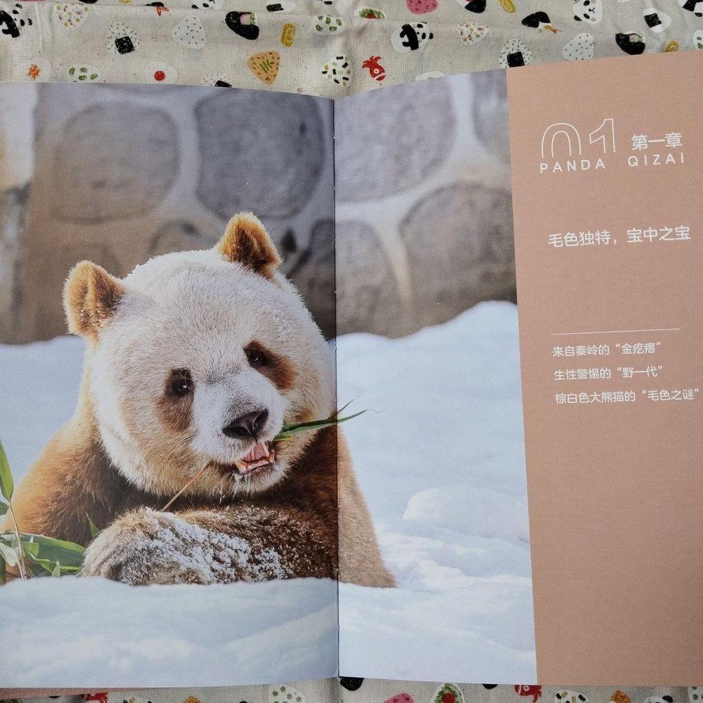 [USED] A rare item! The sixth book in the Panda series, "Seven Pandas