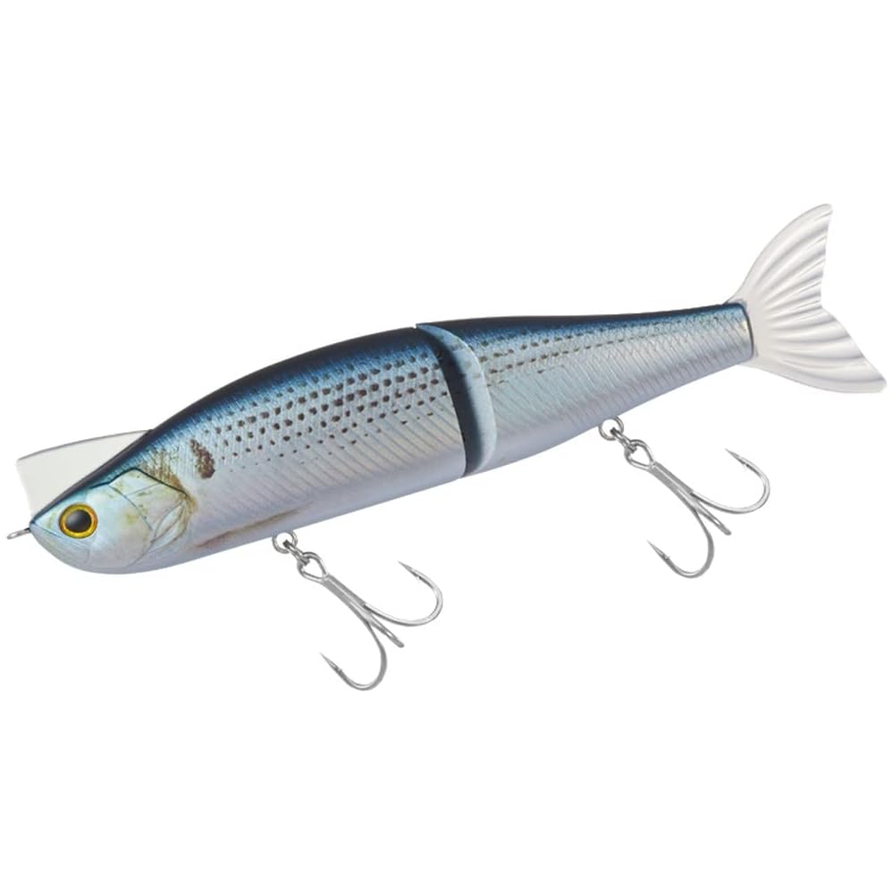 Daiwa Morethan Rage Shad J 170.5F Real Shad Fishing Lure 170.5mm
