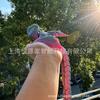 3D Printed Resplendent Quetzal Simulation Ornament - Mayan Mythology Phoenix-Inspired Gift from Guatemala