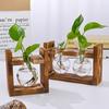 Wooden Stand Hydroponic Glass Vase Set for Pothos 3 Round Bulb Bottles with Clip Frame