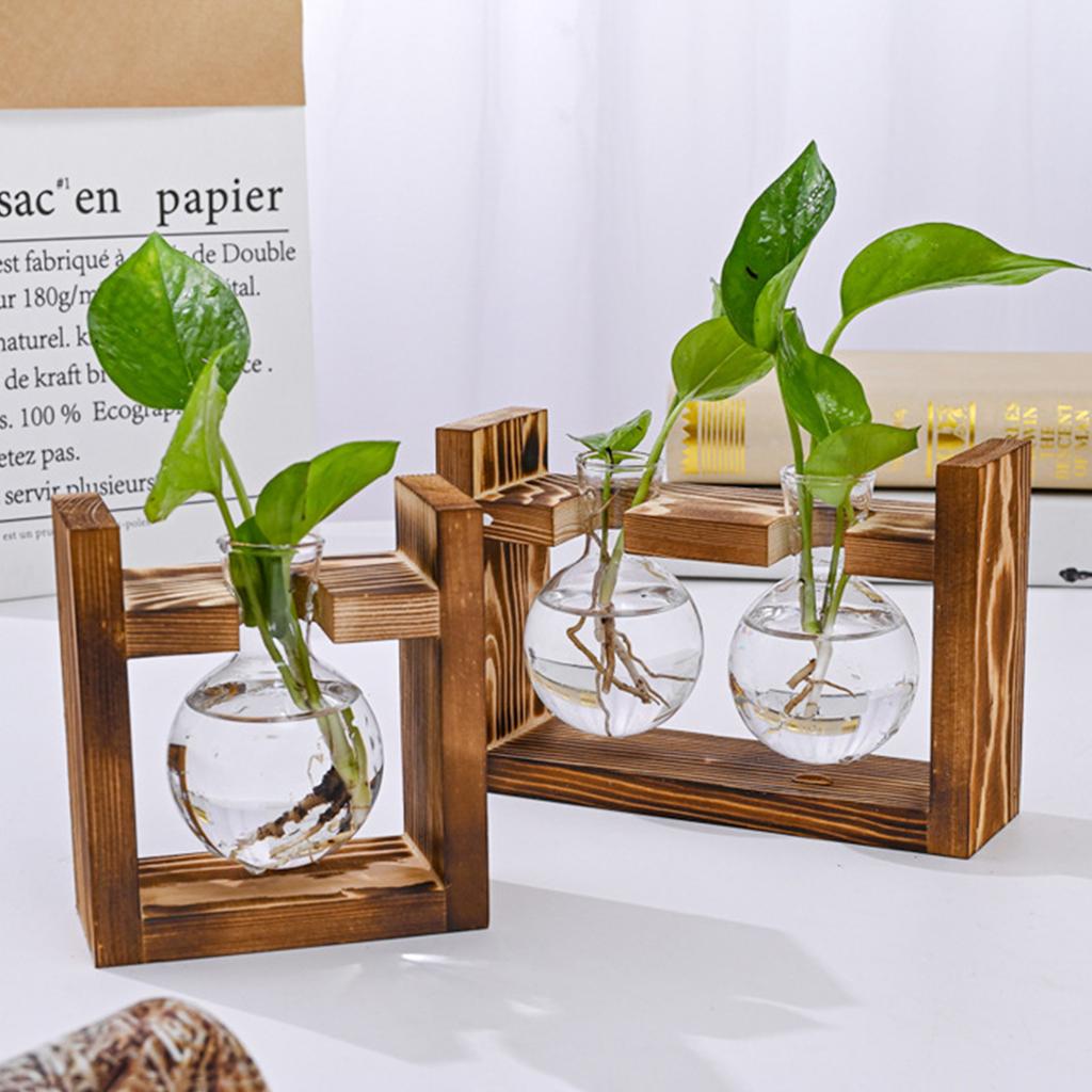 Wooden Stand Hydroponic Glass Vase Set for Pothos 3 Round Bulb Bottles with Clip Frame