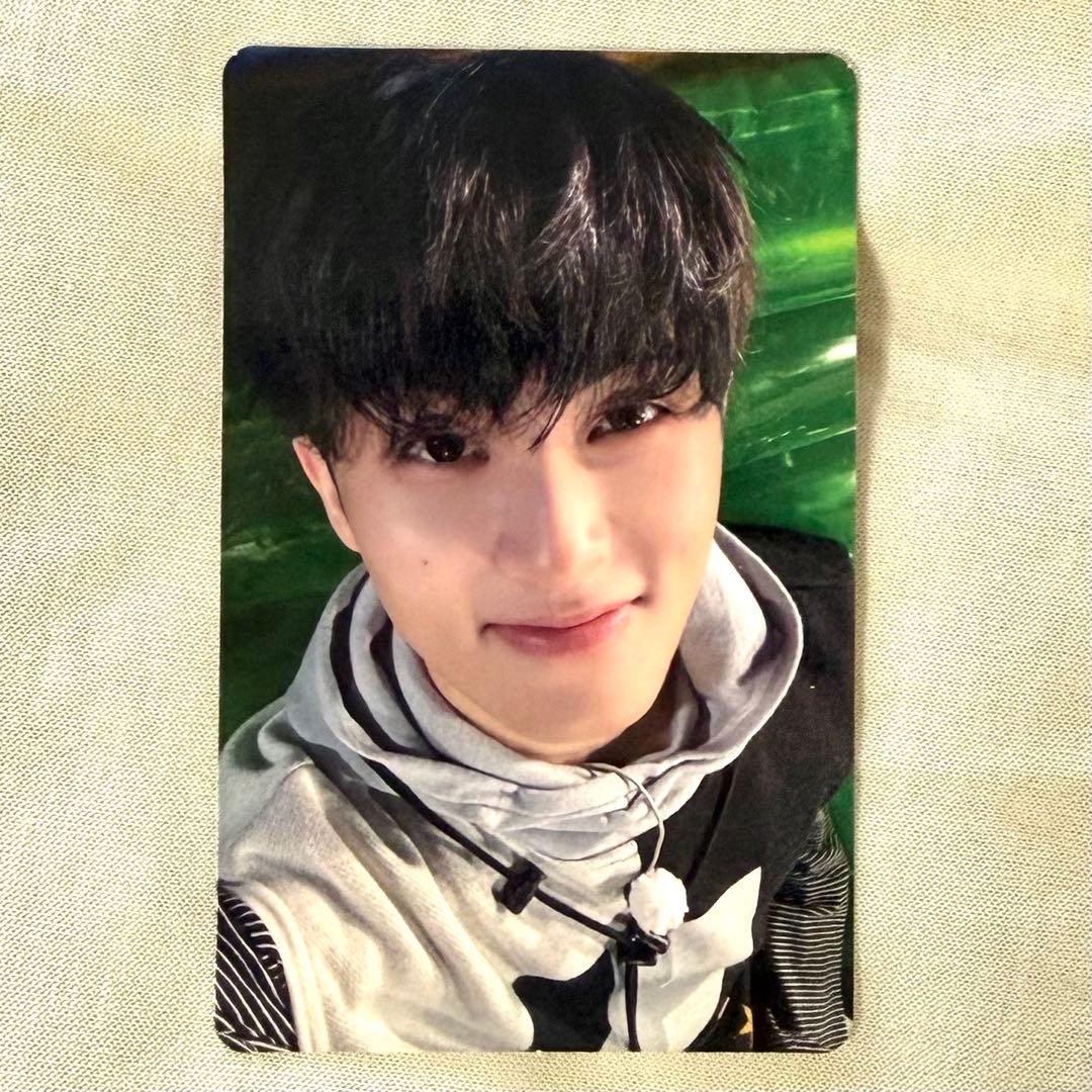 [USED] NCT DREAM DREAM QUEST - Admission Bonus - Korean Fan Meeting - Photocard - Mark