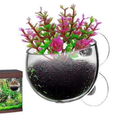 Pot de plante hydroponique pour aquarium à ventouse support de plante transparent amovible aménagement d'aquarium facile à cultiver pour une vie vibrante