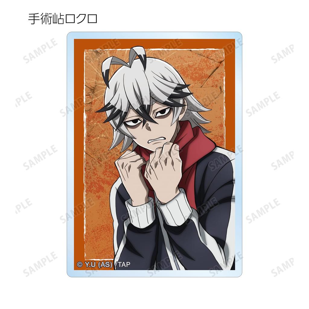 Togen Anki Trading Acrylic Cards Box of 11