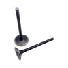 Cross-applicable LH 260 300 ATV Intake & Exhaust Valve Set (22601/22602)