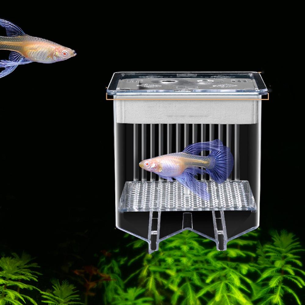 Detachable Guppy Breeder Box Transparent Fish Tank Divider Floating Hatching Box  Fish Breeding