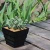 BangQiao 4.95 Inch Plastic Square Succulent Nursery Seedling Plant Pot Planter Container, Pack of 8, Black