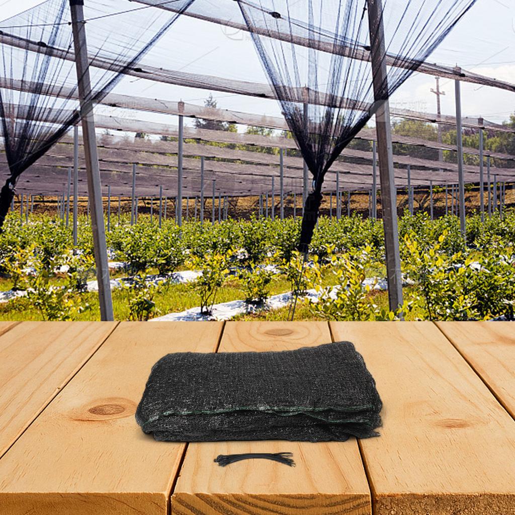 Protect Your Fruits and Vegetables with Shade Cloth, 10 x 6 M Wide, UV Resistant Net Mesh Tarp for Garden Greenhouse Barn