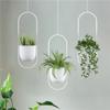 Minimalists Golden Hanging Planter With Adjustable Chain Corrosions Resistant for Home Office Decoration