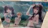 [USED] Stepsister Life Art Book Metal Poster Clear File