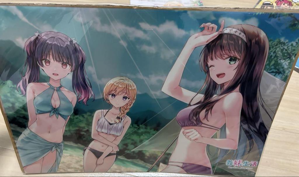 [USED] Stepsister Life Art Book Metal Poster Clear File