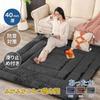 Peto-Raifu Kotatsu Mat, Kotatsu Underlay, Extra Thick Rug with Heat-Storing Filling, Moisture-Absorbing and Heat-Generating, Rectangular, Extra Thick,
