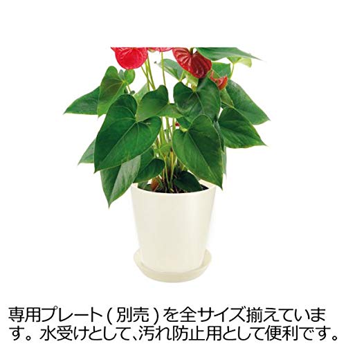 Richell Gala MA Pot 3.5 Black