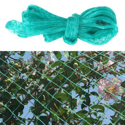 Rete antiuccelli Proteggi le colture di alberi Piante da frutto Giardino Stagno Barriera per uccelli Rete a maglie