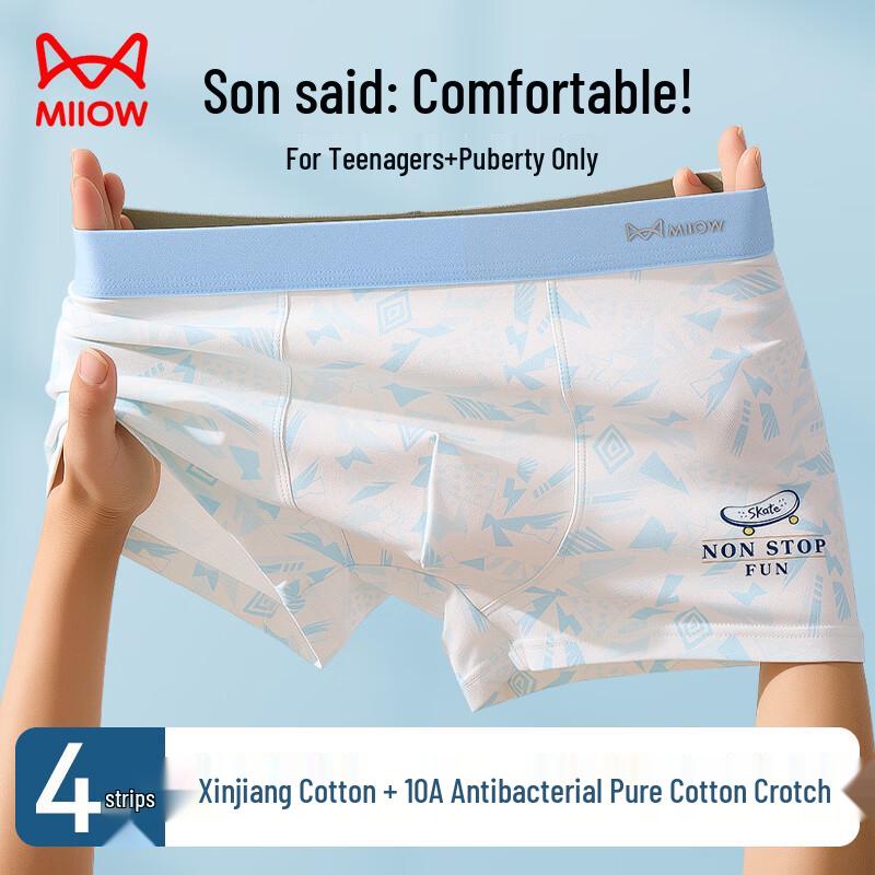 Men's Pure Cotton Antibacterial Boxer Briefs 4-Pack