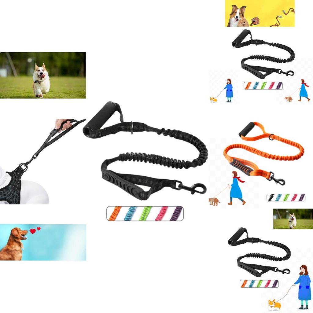 Durable And Safe Nylon Dog Leash With Reflective Design For Pet Owners