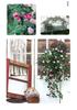 Artificial Rose Vine Wall Hanging for Indoor Decoration