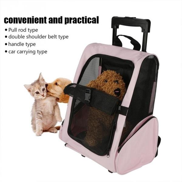 large rolling pet carrier