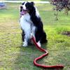 Twist Rope Large Dog Leash + Lead (1.3M) (Red)