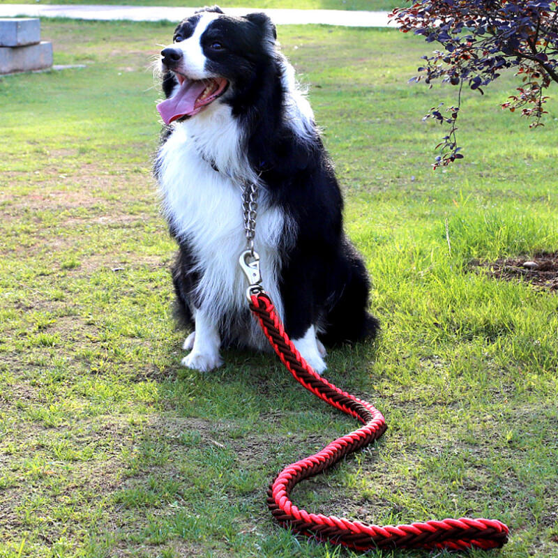 Twist Rope Large Dog Leash + Lead (1.3M) (Red)