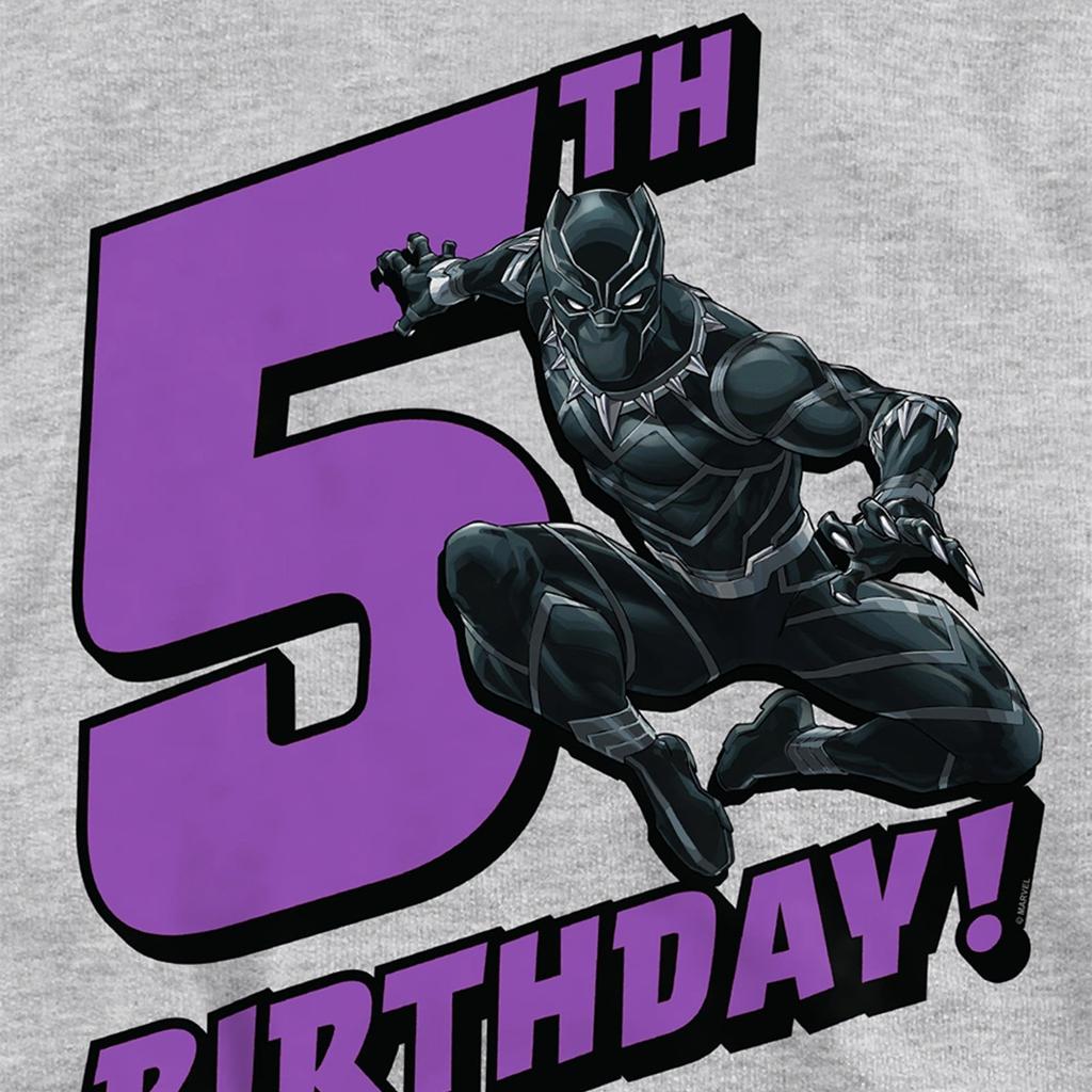 Black Panther Childrens/Kids Heather Pull Over 5th Birthday Hoodie