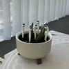 2pcs set of fun potted earthworm plants for garden decoration, cute earthworm garden and terrace accessories, outdoor decoration